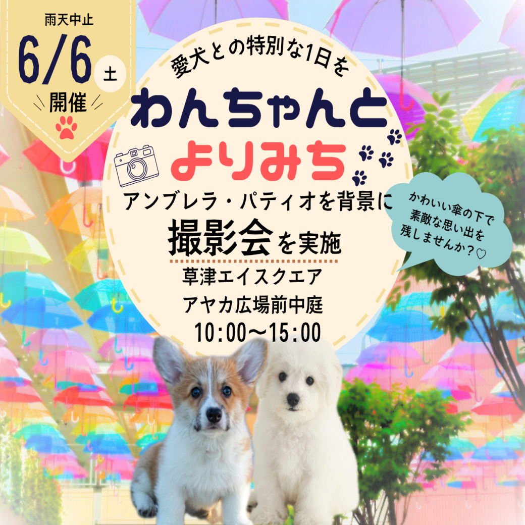 わんちゃんとよりみち☆マルシェ＆撮影会