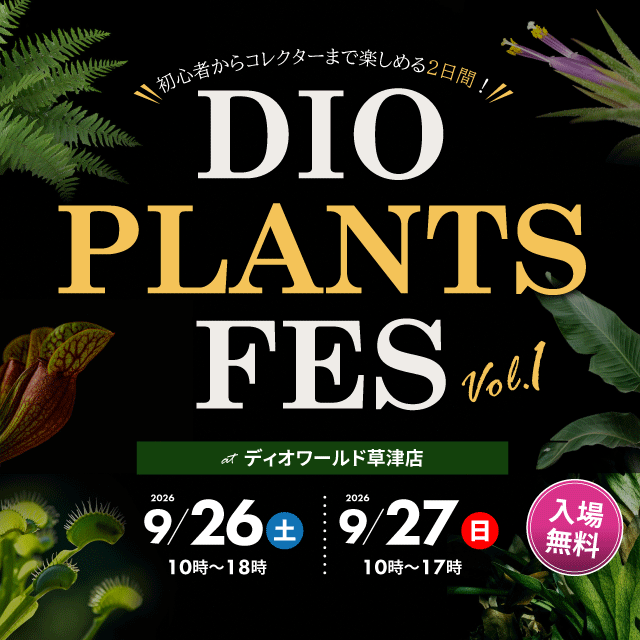 DIO PLANTS FES
